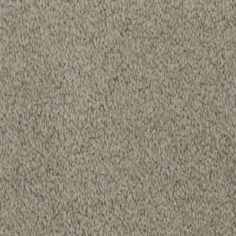 Oyster carpet swatch